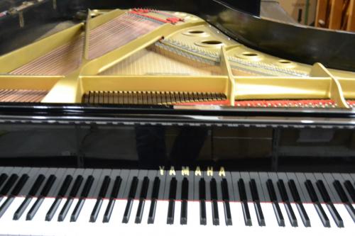 Yamaha C7 - 3