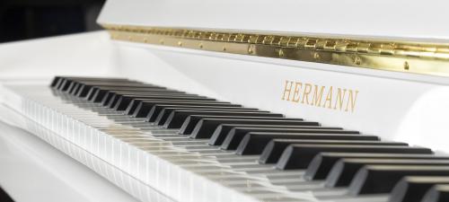 Hermann H112 - 2