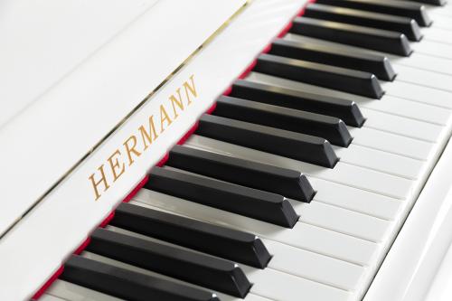Hermann H110 - 1