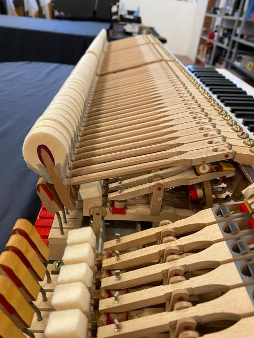Yamaha C1 - 3