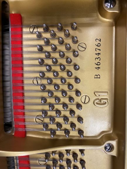 Yamaha G1B - 1
